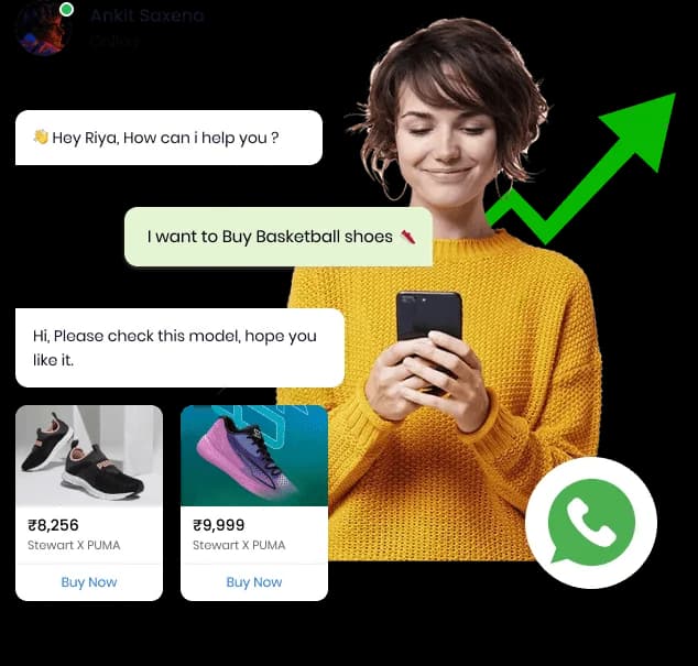 WhatsApp Business API messaging and developer integration on Teleopedia